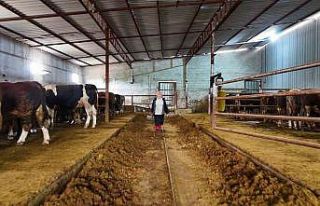 Kadınsın yapamazsın dediler, çiftlik kurdu