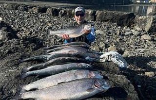 Kafesten kaçtılar ama oltadan kaçamadılar