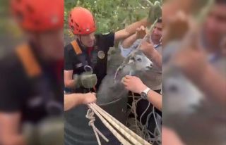 Kahramanmaraş’ta kuyuya düşen keçi kurtarıldı