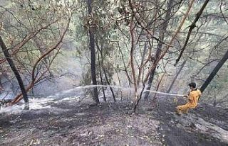 Kahramanmaraş’taki orman yangını kontrol altına...