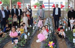 Kahta’da miniklerden çilek hasadı