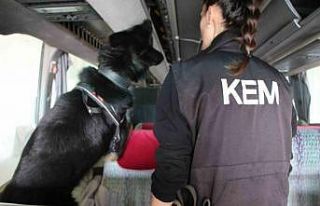 Kapıkule’de 77 kilo ecstacy ele geçirildi