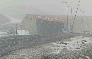 Karabet Geçidi’nde lapa lapa kar yağdı
