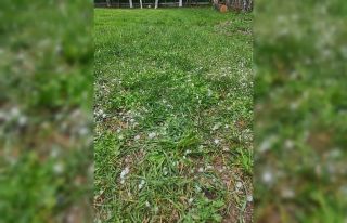 Karabük’te dolu yağışı hayatı olumsuz etkiledi