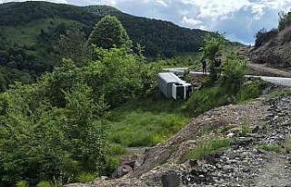 Karadeniz Ereğli’de kamyonet şarampole yuvarlandı