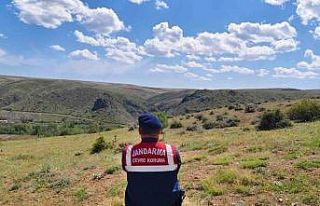 Karanlıkdere Vadisi’nde jandarmadan denetim