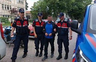 Kardeş kavgası hastanelik etti