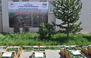 Kars’ta binlerce sebze fidesi dağıtıldı