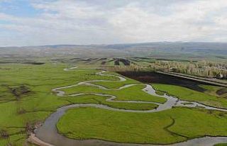 Kars’ta tabloları kıskandıran görüntü