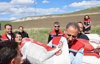 Kars’ta yağlık ayçiçeği üretimi artıyor