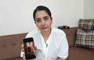 Kayıp kedi bulunmazsa kocası boşayacak