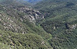 Kayıp müdür kanyon geçişi yaparken sele kapılmış