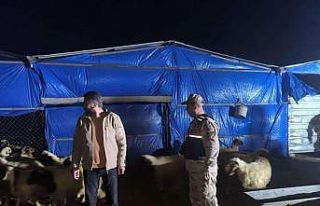 Kilis İl Jandarma Komutanlığı kayıp küçükbaş...