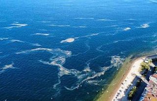 Kınalıada açıklarında müsilaj alarmı, deniz...