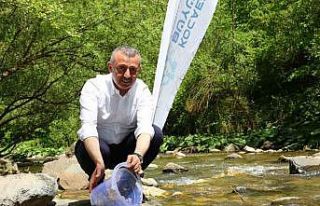 Kirazdere’ye 8 bin alabalık bırakıldı