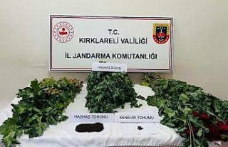 Kırklareli’nde uyuşturucu operasyonu: 8 gözaltı