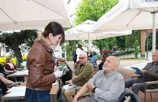 Koca çınarlar sağlıklı yaş alıyor