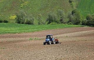 Kocaeli’de mısır tohumları toprakla buluşuyor