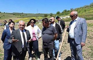 Konaklı’da 800 zeytin fidanı toprakla buluştu