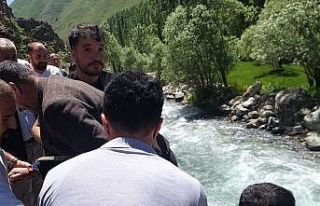 Kontrolden çıkan kamyonet dereye uçtu