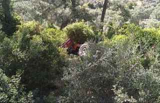 Kontrolden çıkan traktör ormanlık alana devrildi:...