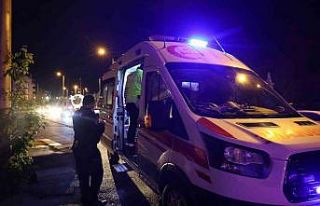 Köpeğini düşürmemek için çabaladı, dengesini...