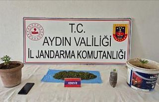 Köşk’te uyuşturucu baskını: 1 gözaltı