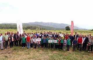 Köyceğiz Döğüşbelen’de 400 dekar meralık...