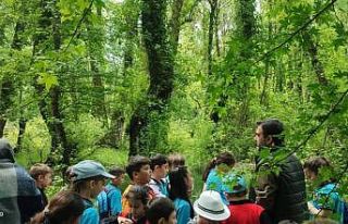 Köyceğiz’de öğrenciler Sığla ormanlarında...