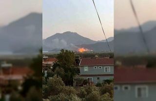 Köyceğiz’de sazlık alanda yangın çıktı