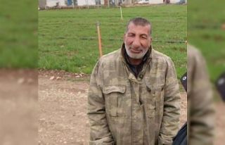 Koyun otlatırken hayatını kaybetti