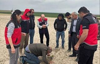 Kulu’da tarım alanlarında kontroller devam ediyor