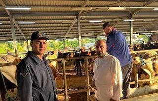 Kurban Bayramı öncesi hayvan pazarlarına denetim