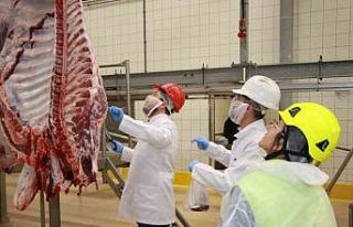 Kurban kesim başvuruları 15 Mayıs’ta başlıyor