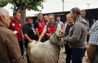 Kurban pazarlarında sağlık ve hijyen kontrolü