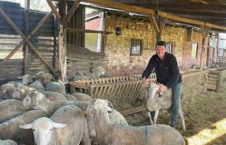 Kurbanlıkları satıp kazancıyla Temmuz ayında...