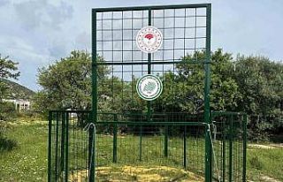 Kuşadası’nda yaban domuzlarına karşı termal...