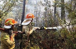 Kütahya’da orman yangını büyümeden söndürüldü
