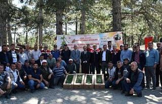 Kuyucak’ta 220 bin domates fidesi dağıtıldı