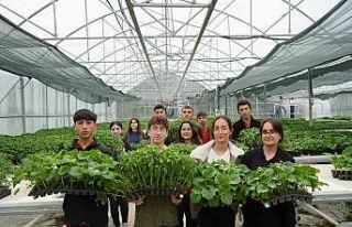 Lise öğrencileri 1 milyon fide üretimi hedefliyor