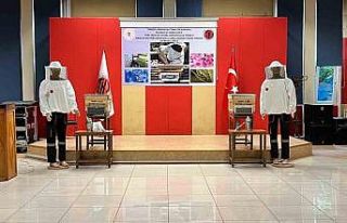 Maden sahasında bal üretimi başlıyor