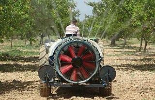 Malatya’da yeniden yeşeren kayısı ağaçları...