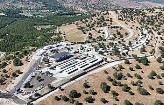 Manisa’da sokak hayvanları için örnek proje hayata...