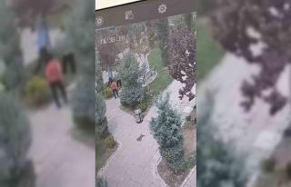 Mardin’de ağaçlara zarar veren bir grup genç,...