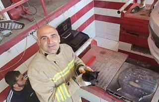 Mardin’de otomobilin motor bölümüne sıkışan...