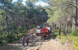 Marmaris yangınına 13 helikopter, 2 uçak, 20 arazözle...