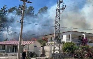 Marmaris’te orman yangını