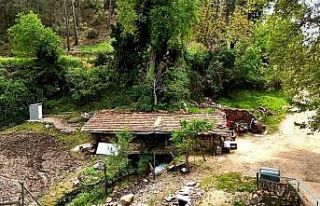 Menteşe’deki değirmen asırlardır yöre halkına...