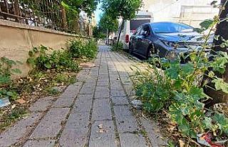 Mera değil Efeler’in merkez mahallesi