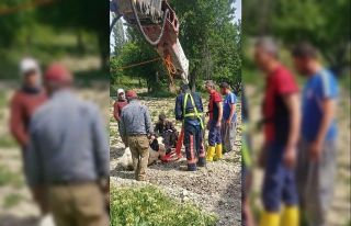 Mersin’de 10 metrelik su kuyusuna düşen danayı...